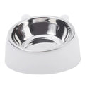 Cat Bowl Lovely Creative Inclined Kitten Puppy Food Feeding Bowls Stainless Steel Cats Drinking Feeder Pet Dogs Cats Feeders